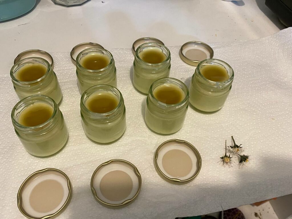 Poured daisy balm in jars